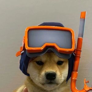 Meet your Posher, Jayla